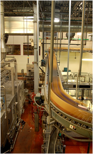 Skilled and non-skilled workers to work in factories